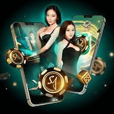qq998